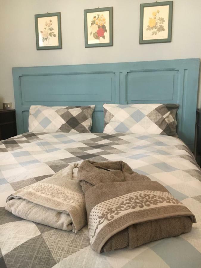 New Flowers Farm B&B 诺切托 外观 照片
