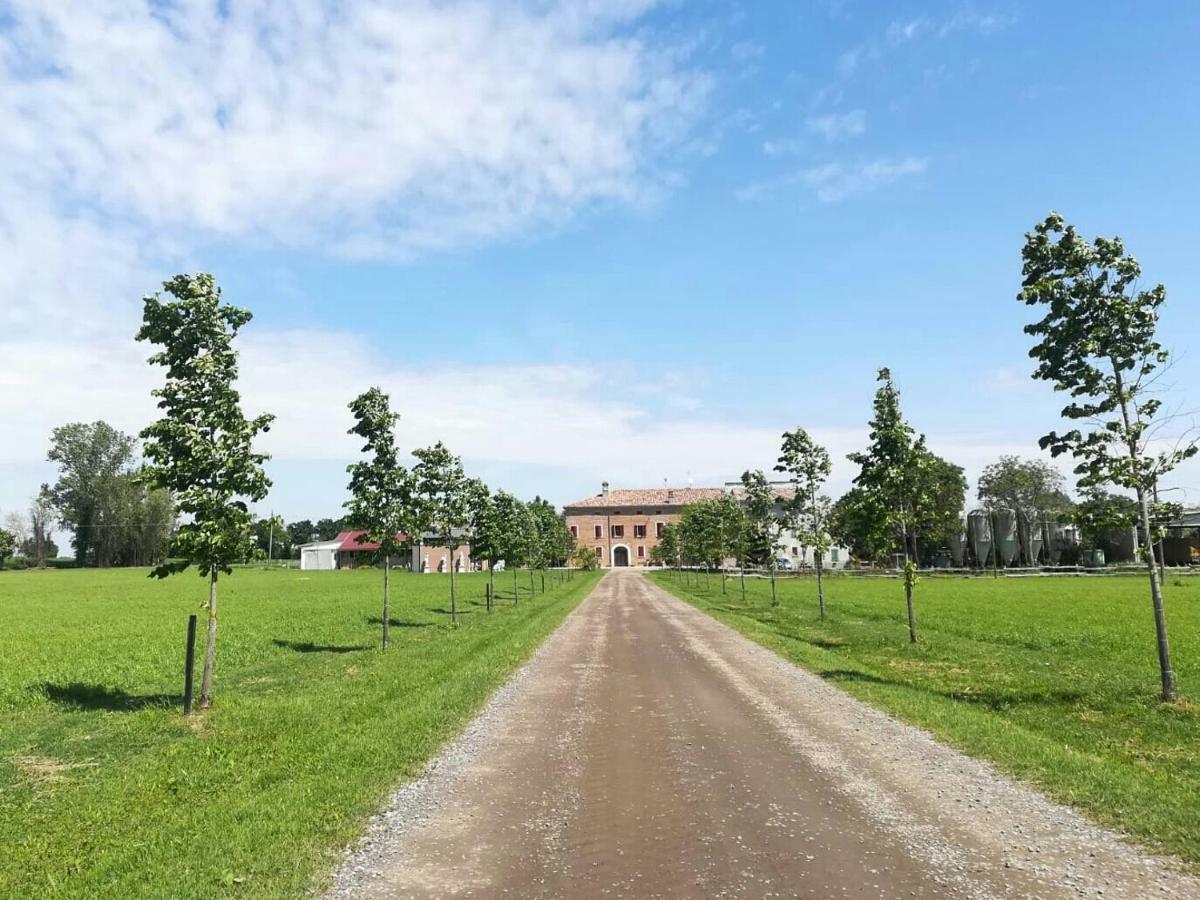 New Flowers Farm B&B 诺切托 外观 照片